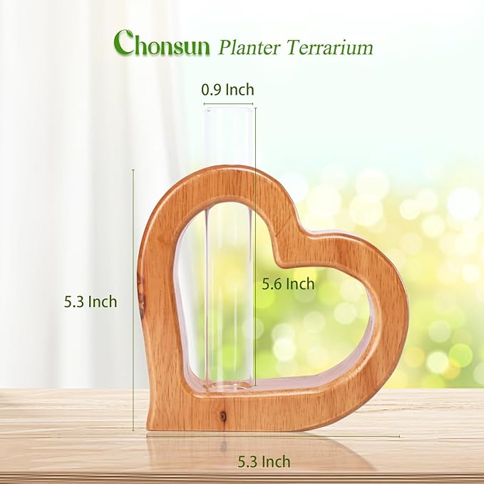 Terrarium Wall Planter with Glass Test Tube, Heart Shaped Pine Wood Stand