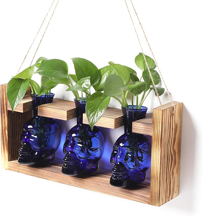 Terrarium Set of 3 Skull Glass Propagation Vases with Wood Stand