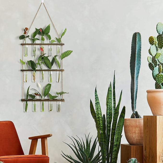 Terrarium Wall Hanging Propagation Station, 3-Tier Wood Frame, Glass Tubes