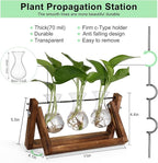 Propagation Station Terrarium, 3 Glass Vases with Wooden Stand
