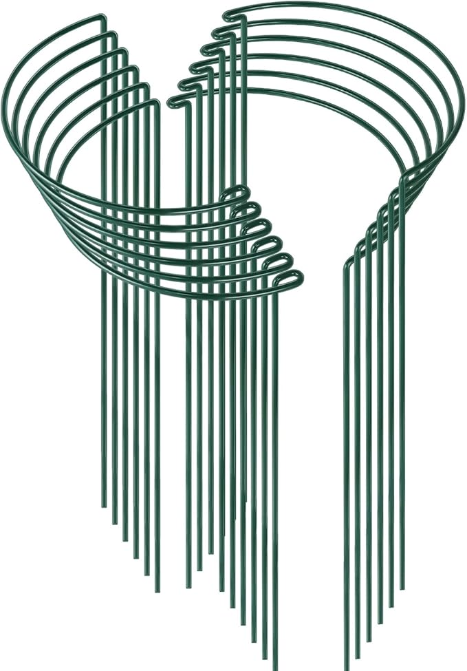 Plant Support Stakes, 12 Pack Iron Tube, 10 x 24 Inch