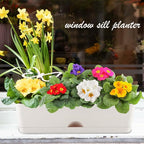 6 Pack Rectangle Planter 16x4.4 Inch Window Boxes Planters Rectangular Large Window Sill Planters Indoor Self Watering Plant Pots with Drainage Holes and Saucers Succulent Herb Flower Pots, Light Grey