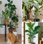 4 Pcs Small Trellis for Potted Plants Plant Trellis Indoor Trellis for Potted Plants Stackable Plastic Plant Support Houseplant for Climbing Indoor Monstera Pothos Ivy Plants Decor
