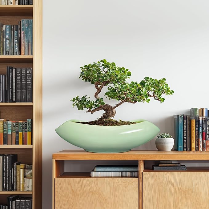 Ceramic Bonsai Pots - Large Succulent Planter 18 Inch Plant Pot Indoor Succulent Pot with Drainage Hole Outdoor Planter Bonsai Tree Pot for House Home Garden Decor Green