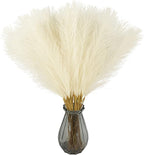 Artificial Pampas Grass Greenery Stems, 50 Pack, 21.6 Inch, Beige