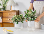 Melphoe Self Watering Pots for Indoor Plants Planter, 6.5/5.3 Inch 2 Pack Planters Self Watering Plant Pots for Flower, Houseplants, Succulent, African Violets and Cactus with Drainage