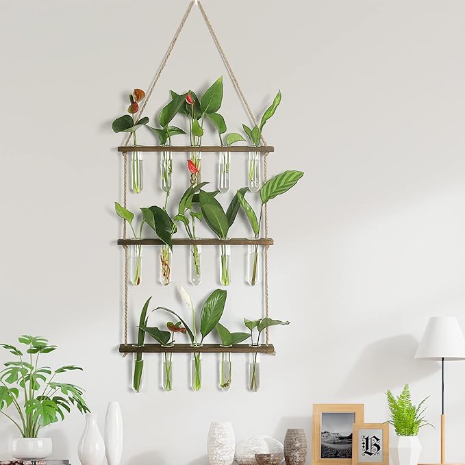 Terrarium Wall Hanging Propagation Station, 3-Tier Wood Frame, Glass Tubes
