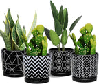 Ton Sin Flower Pots,5.5 Inch Black Ceramic Planter with Drainage Hole,Indoor Cylinder Plant Pots with Saucer,Cactus Succulent Outdoor Garden Pots Set of 4