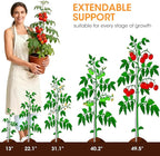 Aieve Extendable Plant Stakes, 13in to 49in Stainless Steel Telescoping Monstera Plant Support Stakes, Indoor Outdoor Garden Stake Support Sticks for Tomato Vegetables Monstera Vine (5 Packs)