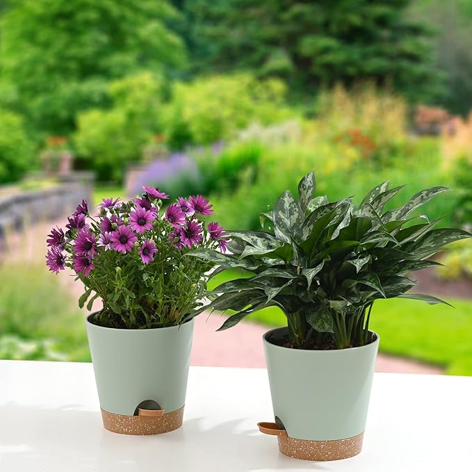 Plant Pots 6 PCS 5 inch Self Watering Planters High Drainage Flowers Pot for Indoor Outdoor Plants with Reservoir Tray and Watering Lip Gardening Planter Garden Flower Pots, Green
