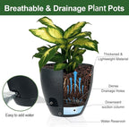 Self Watering Pots Set, 5 Pack 6 Inch Self Watering Pots for Indoor Outdoor Plants, Plastic Planter with Drainage Holes and Deep Reservoir for African Violet, Spider, Orchid