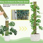 60"/40"/24" Metal Moss Pole, D Shape Sphagnum Moss Pole, Moss Poles for Climbing Plants, Monstera, Indoor Climbing Plants (4Pcs 24")