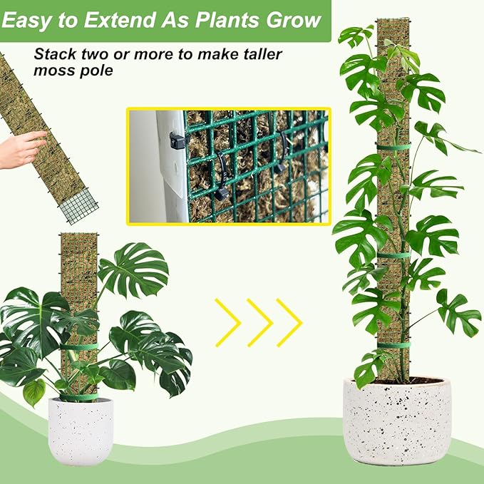 60" Metal Moss Pole, D Shape Sphagnum Moss Pole, Moss Poles for Climbing Plants, Monstera, Indoor Climbing Plants (6Pcs 60")