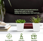 Anyumocz 24Pcs 3" Square Plastic Plant Pots,White Nursery Pots with Saucers,Seedling Nursery Transplanting Planter Container for Plants,Garden,Flower,Home,Office,Balcony Decor,Indoor,Outdoor