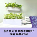 LaLaGreen Wall Planter (24 Inch, 2 Pack) Carbon Steel White Metal Hanging Flower Pot for Succulents, Wall Mount Rectangular Window Sill Box Fence Floating Garden Shelf for Deck Indoor Outdoor Decor