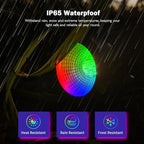 RGBW Low Voltage Landscape Lights, 10W 12/24V Color Changing Landscape Lighting with Remote, IP65 Waterproof Outdoor LED Spotlight for Garden Christmas Halloween, 8 Pack with Connectors