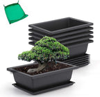Bonsai Training Pots 9 Inch Black Plastic with Drainage Trays