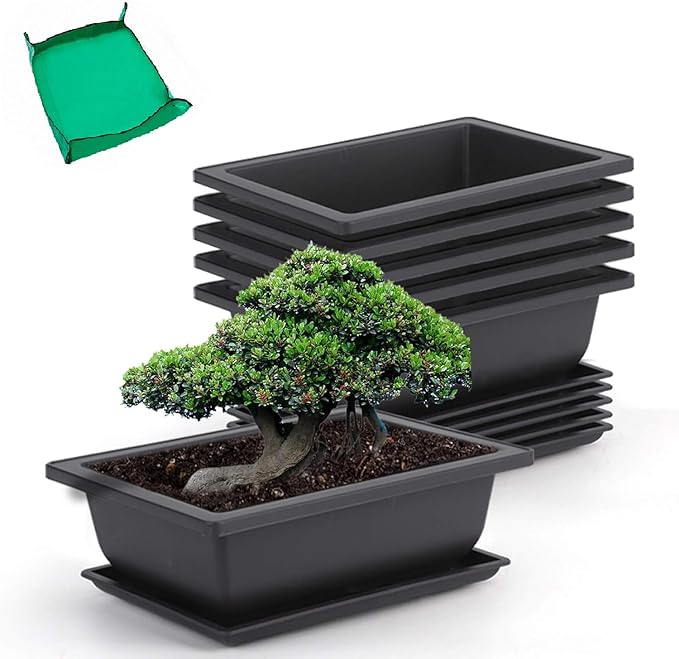 Bonsai Training Pots 9 Inch Black Plastic with Drainage Trays