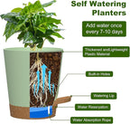 Self Watering Pots, 4 inch Flower Pots with Multi Mesh Drainage Holes, Small Platic Planters for Indoor Outdoor Garden Plants and Flowers (Green with Brown Tray, 4")