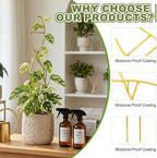 3 Pcs 15.75 Inch Indoor Plant Trellis for Potted Plants Small Climbing Plant Trellis for Pots with Unique DNA Spiral Design for Vine Plants, Easy Installation for Indoor Outdoor Use
