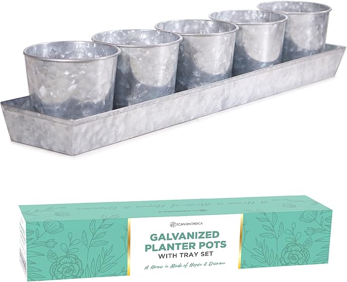 Galvanized Steel Herb Planter Set of 5 with Catch Tray