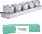 Galvanized Steel Herb Planter Set of 5 with Catch Tray