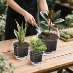 Self Watering Pots, 3 Pack 4 Inch Clear Plant Pot Self Watering Planter Flowers Pot with Deep Reservoir for Indoor Plants (3 Small)