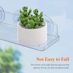 Lifewit Window Plant Floating Shelves 14.6x3.6, 3 Pack Acrylic Suction Cup Shelf, Window Sill Extender for Indoor Succulent Plants, Micro Greens, Seed Starter Pots, Herb Planters 37 x 9 cm/14.6x3.6