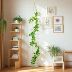 Wooden Ladder Plant Trellis for Climbing Plants – 6ft Extra Tall Indoor & Outdoor Wooden Trellis Garden Plant Support, Easy to Install for Vines, Ivy, Pothos, Monstera, Potted Plants
