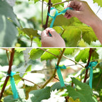 10 Pcs 150 Feet x 1/2" Wide Stretch Tie Tape Green Plant Garden Tie, Garden Vinyl Stake for Branches, Climbing Planters, Flowers