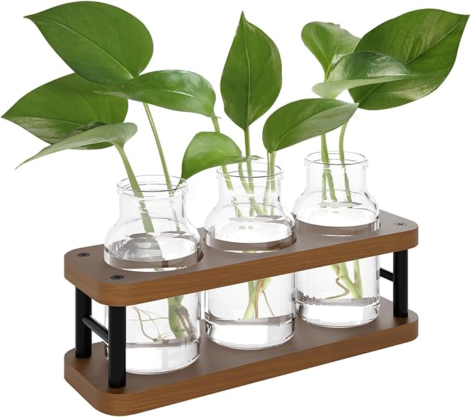 Terrarium Propagation Station, Brown Wood Stand with 3 Glass Jars