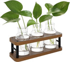 Terrarium Propagation Station, Brown Wood Stand with 3 Glass Jars