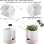 Nihow Self Watering Plant Pot: 8 Inch Ceramic Planter with Drainage Hole & Water Storage Plus for Indoor & Outdoor Plants - Cylinder Round Flower Pot for Succulent/Herbs/Violets - Nature & White