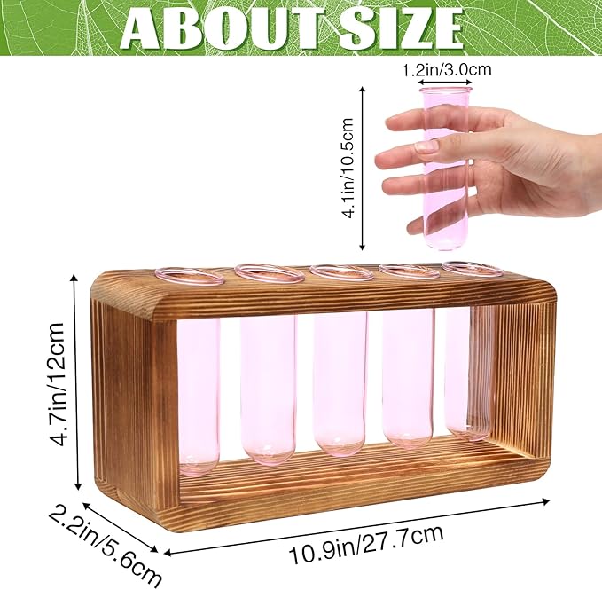 Terrarium Propagation Station with Wood Stand and 5 Glass Test Tubes