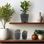 Set of 6 Self Watering Plant Pot 3 Sizes Plastic Double Layer Self Watering Flower Pot with Multi Mesh Drainage Holes Wicking Reservoir for Indoor Outdoor Garden Plants(Black)