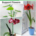 Plant Stakes 17 inch SupKing Support Stick Orchid Stakes with Clips 10Pcs Garden Plant Poles Extended to 3/4/5ft for Indoor Outdoor Potted Tomato Rose Amaryllis Vegetables Monstera Comes with 20 Ties