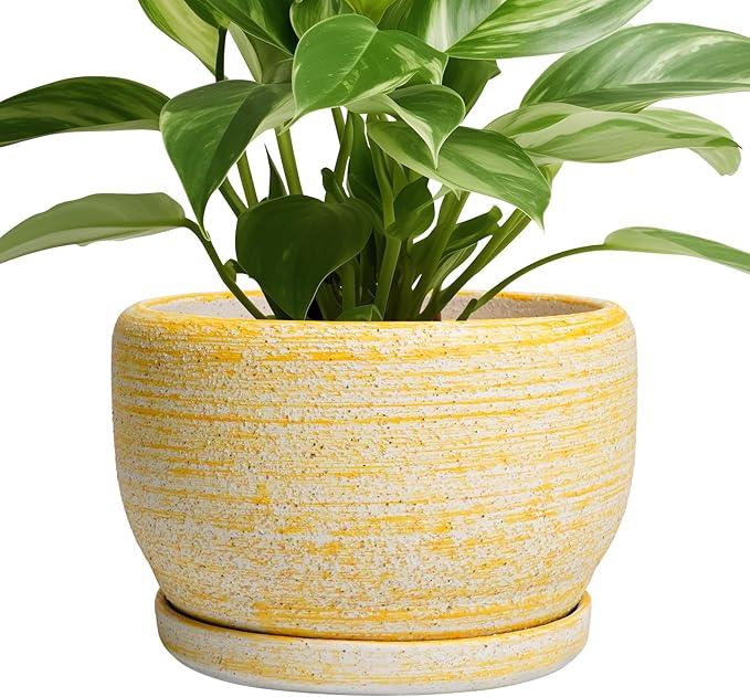 SQOWL Ceramic Flower Pots - 8 inch Plant Pot Indoor with Drainage Hole and Saucer, Modern Ceramic Planter Outdoor, Round Decorative Planter, Living Room Home Decor, Gifts for Plant Lovers, Yellow