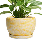 SQOWL Ceramic Flower Pots - 8 inch Plant Pot Indoor with Drainage Hole and Saucer, Modern Ceramic Planter Outdoor, Round Decorative Planter, Living Room Home Decor, Gifts for Plant Lovers, Yellow