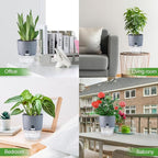 6 Inch Self Watering Pots for Indoor Plants, 6 Pack Grey Plastic Flower Pots with Drainage Holes for African Voilet Herbs All House Plants (Include 1 Spray Bottle)