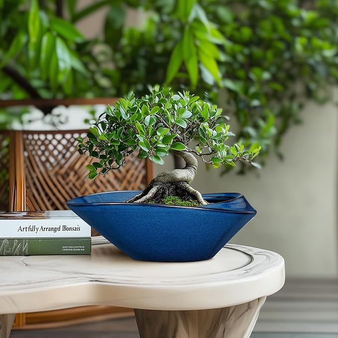 Planter Pot, Blue Ceramic Bonsai Pot with Drainage Hole, 12 Inch