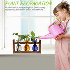 Terrarium Propagation Station with 3 Borosilicate Glass Bulbs and Wooden Stand