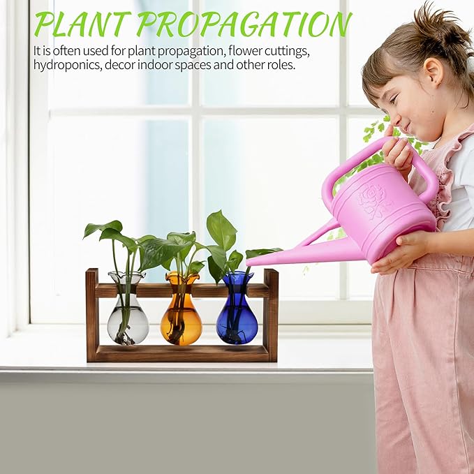 Terrarium Propagation Station with 3 Borosilicate Glass Bulbs and Wooden Stand