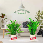 Snake Plant Support Stake - Half Round Peony Stake and Support, Heavy Duty Hydrangea Support Cage, Half Moon Houseplant Support Ring for Potted Indoor Plants (4 Pack, 14x8Inch)