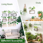 Terrarium Propagation Station with 5 Glass Test Tubes, Brown Wood Stand