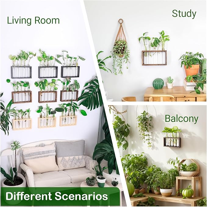 Terrarium Propagation Station with 5 Glass Test Tubes, Brown Wood Stand