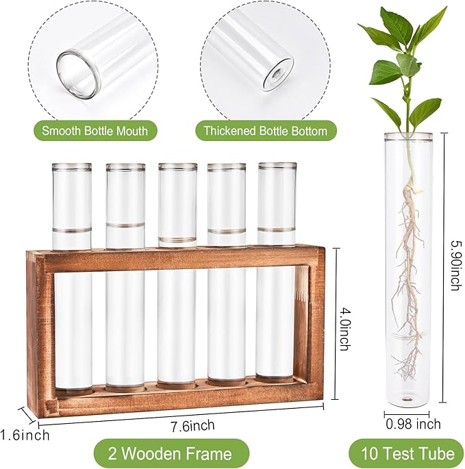 Terrarium Propagation Station Set, 2-Piece Clear Glass with Wood Stand