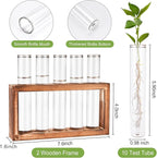 Terrarium Propagation Station Set, 2-Piece Clear Glass with Wood Stand