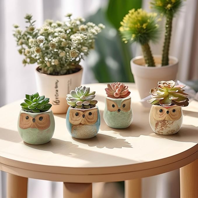 Planter Pots Mini Ceramic Owl Design, 12 Pack with Drainage Holes