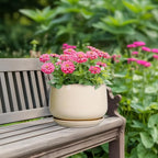 G EPGardening Ceramic Planter - 7 Inch Plant Pots with Drainage and Ceramic Tray, Flower Pots for Indoor Plants, Round Outdoor Planter, Room Decor, Gifts for Plant Lovers, Beige