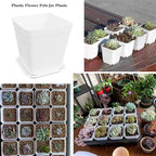 24 Pack 3 Inch White Square Plastic Plant Pots with Saucers,Nursery Seedling Pots with Drainage Hole,Small Planter Containers for Succulents,Flowers,Indoor Outdoor Garden,Home Office Balcony Decor